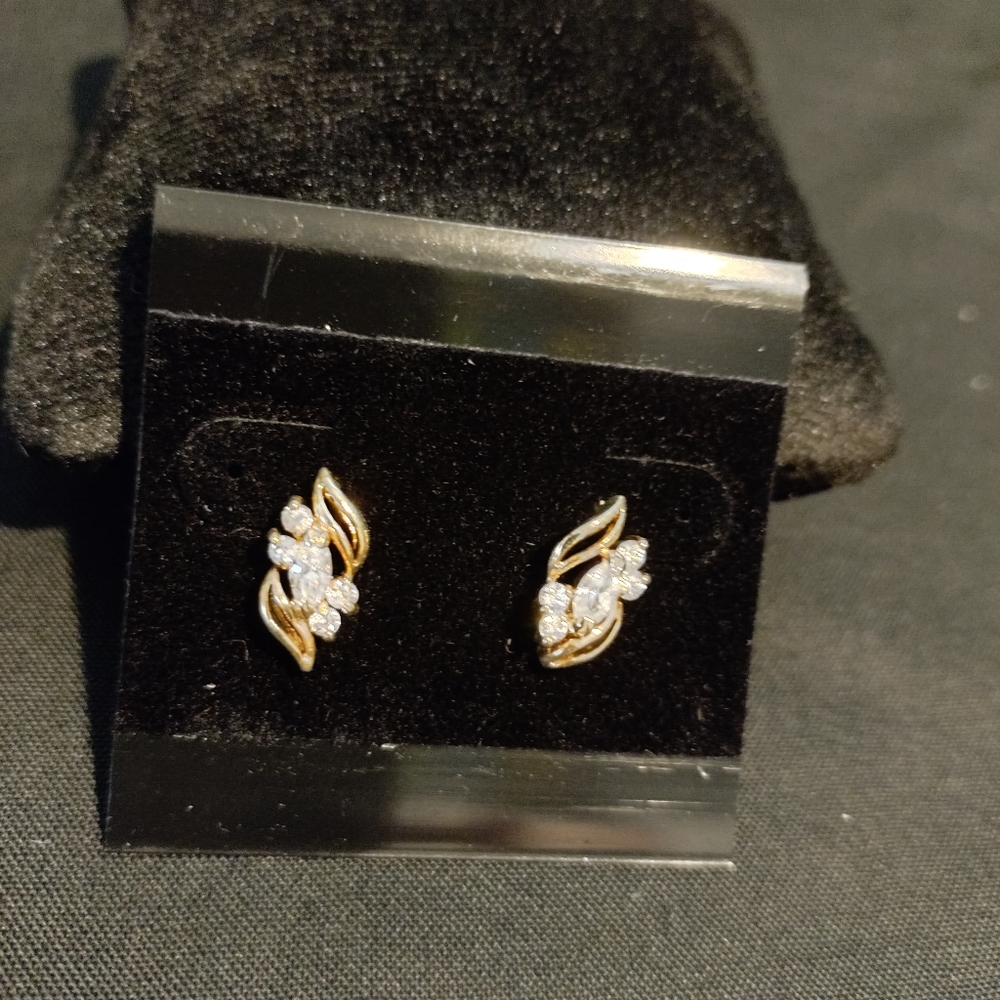 Woman's Electroplated Earrings
